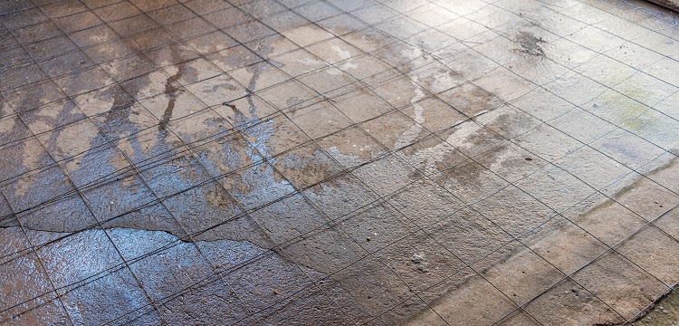 媒體報(bào)道多個(gè)電商平臺(tái)有售「造假消毒液」，用「甲醇冒充酒精」售賣，甲醇對(duì)人體的危害有多大 如何辨別 ?寵物醫(yī)院用什么消毒液? 健明迪檢測(cè)