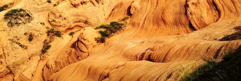 地質儀器長霉試驗