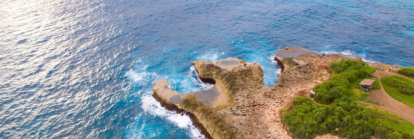 海洋生態(tài)預(yù)警監(jiān)測(cè)