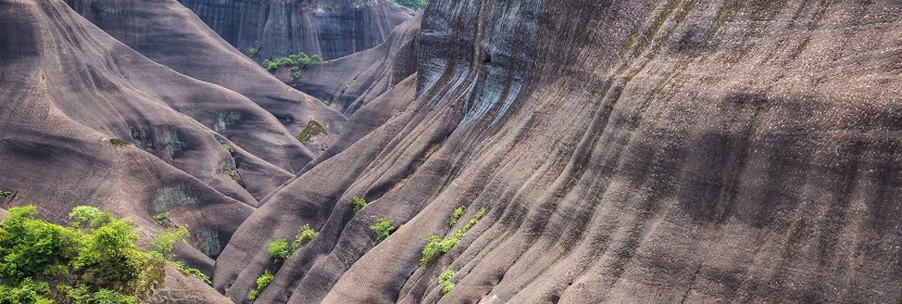 植物飲料檢測(cè)