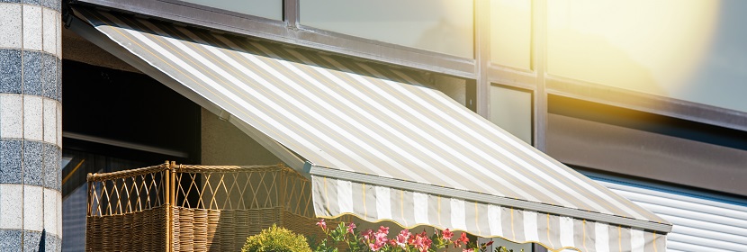 植酸酶檢測(cè)