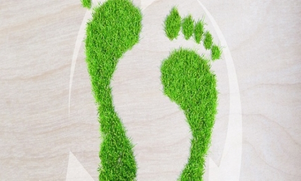 冰晶石檢測(cè)