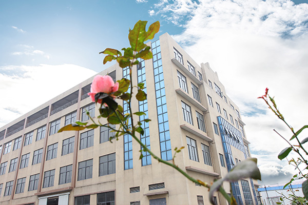 琥珀酸二甲酯檢測(cè)