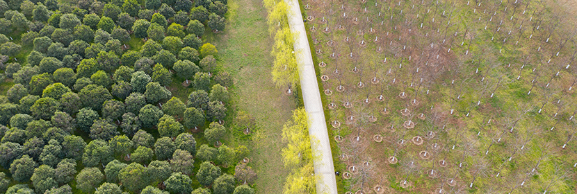 溴酸鉀檢測(cè)