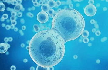 建筑材料腐蝕試驗(yàn)