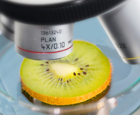 金屬鍍覆層檢測