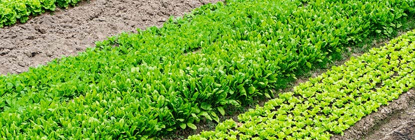 管道密閉性試驗(yàn)