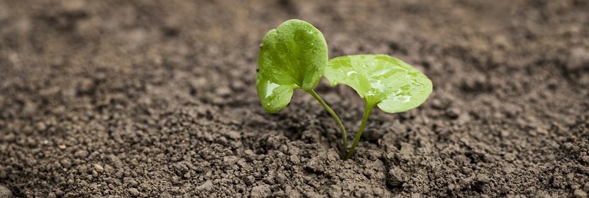 礦物浮選劑檢測