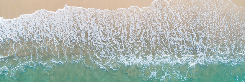 養(yǎng)殖魚檢測(cè)