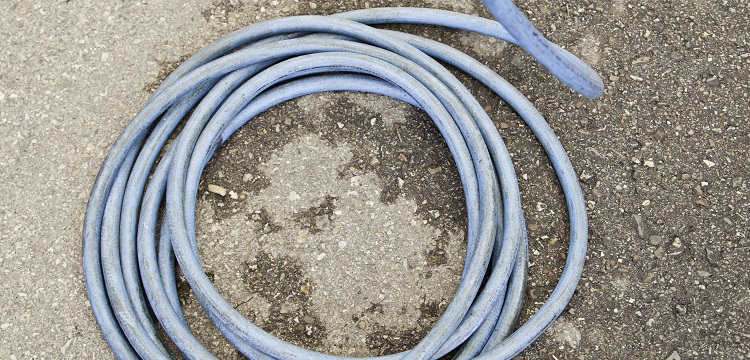 肌動(dòng)蛋白抗體檢測