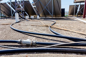 病媒生物密度檢測(cè)