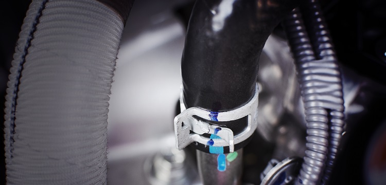 蛋白質熒光檢測