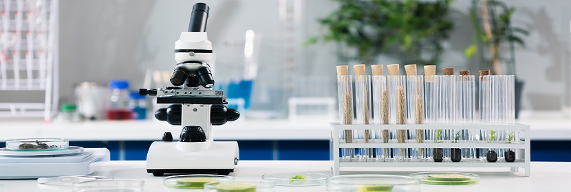 極限氧濃度檢測(cè)