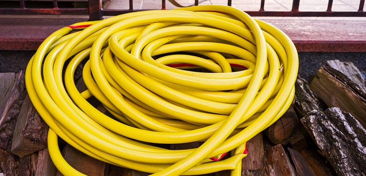 尾部懸吊模擬失重誘導(dǎo)大鼠學習記憶障礙模型