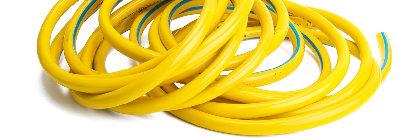 維甲酸誘導第一、二鰓弓綜合征大鼠模型