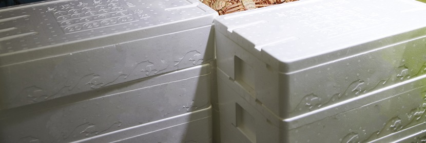 動(dòng)態(tài)緩沖性能