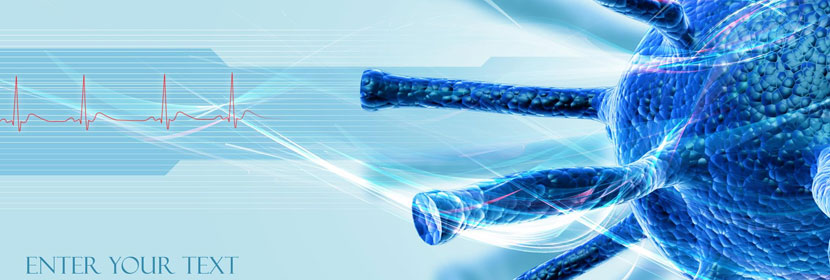 抗病毒試驗(yàn)