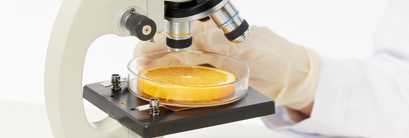 食品毒理檢測(cè)