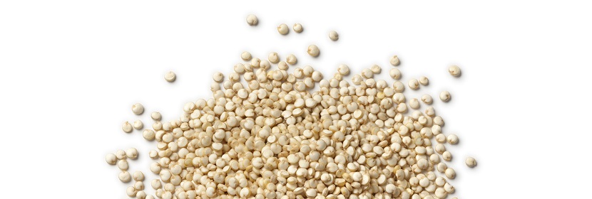 硅酸鹽細菌肥料檢測