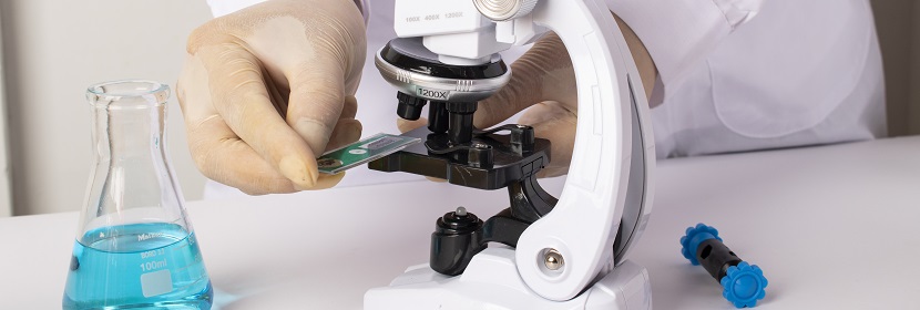 化妝品體外哺乳動(dòng)物細(xì)胞微核試驗(yàn)