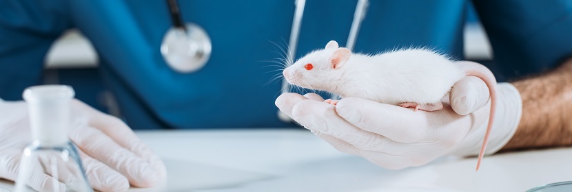 手消毒劑致突變試驗(yàn)