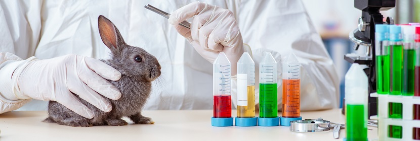 手消毒劑急性經口毒性