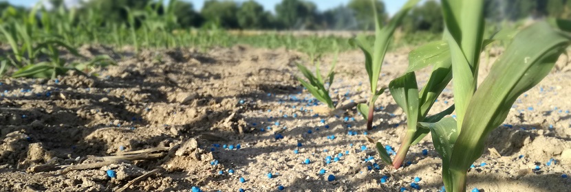 黃腐酸微量元素肥料檢測(cè)