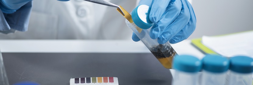 化學(xué)品哺乳動物細胞基因突變試驗