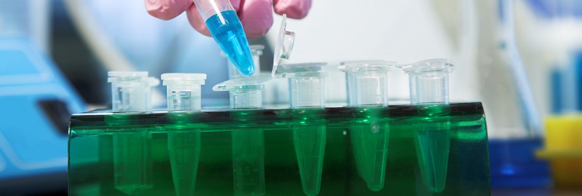 化學品經口毒性試驗