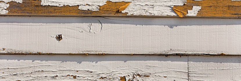 涂料耐黃變性檢測(cè)