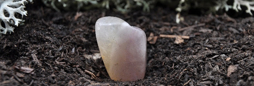 工業(yè)氟化鎳檢測