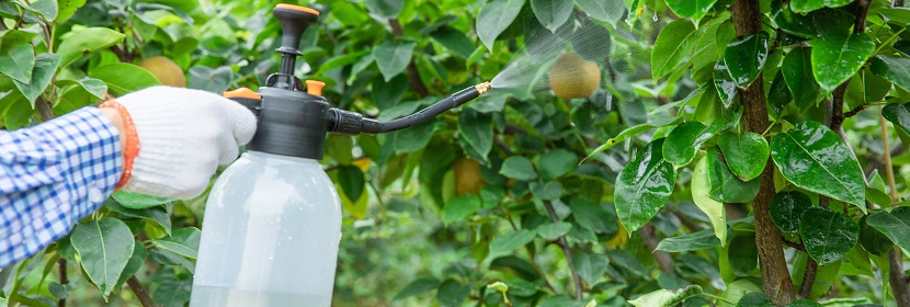 農(nóng)藥檢測檢驗