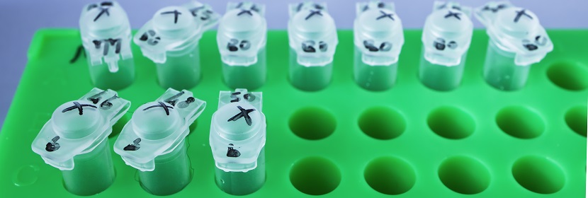 不飽和硅烷偶聯劑檢測