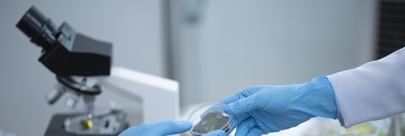 活性炭堆積密度檢測(cè)