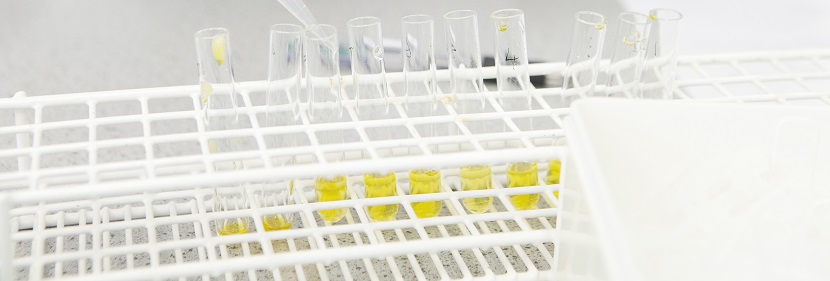 十二烷基硫酸鈉檢測